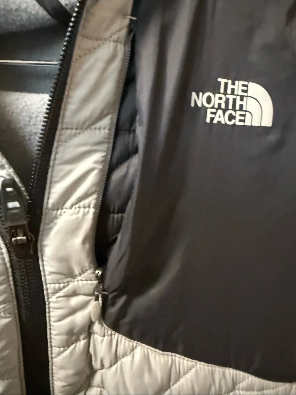 The North Face Hooded Jacket